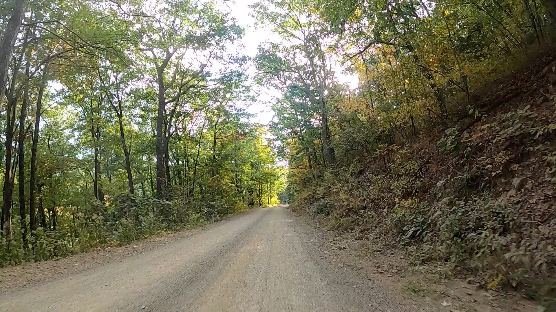 Public Lands Ride - 2020- R.B. Winter State Park-Bald Eagle State Forest- Terrain #15