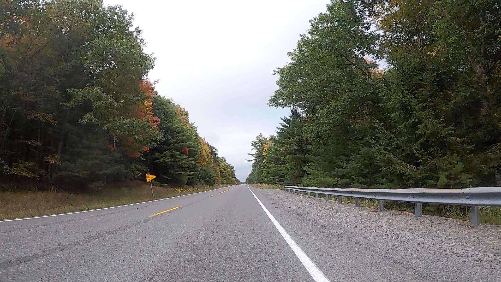 Public Lands Ride - 2020- R.B. Winter State Park-Bald Eagle State Forest- Terrain #16