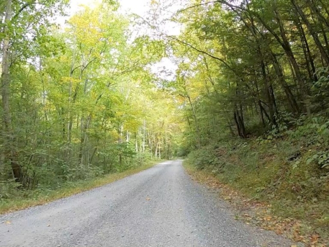 Public Lands Ride - 2020- R.B. Winter State Park-Bald Eagle State Forest- Terrain #2