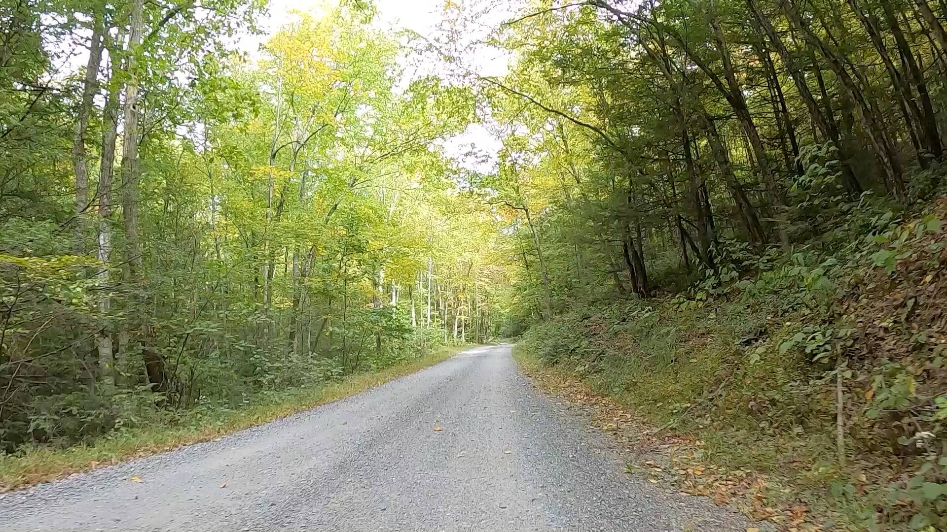 Public Lands Ride - 2020- R.B. Winter State Park-Bald Eagle State Forest- Terrain #2