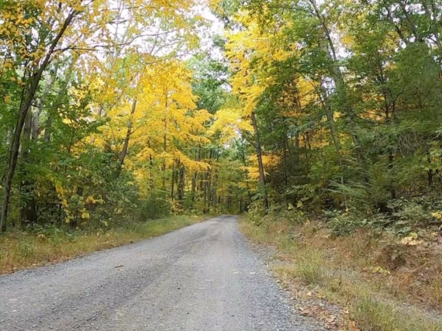 Public Lands Ride - 2020- R.B. Winter State Park-Bald Eagle State Forest- Terrain #3