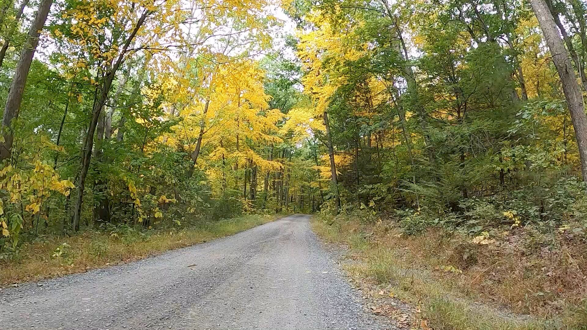 Public Lands Ride - 2020- R.B. Winter State Park-Bald Eagle State Forest- Terrain #3