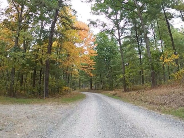 Public Lands Ride - 2020- R.B. Winter State Park-Bald Eagle State Forest- Terrain #6