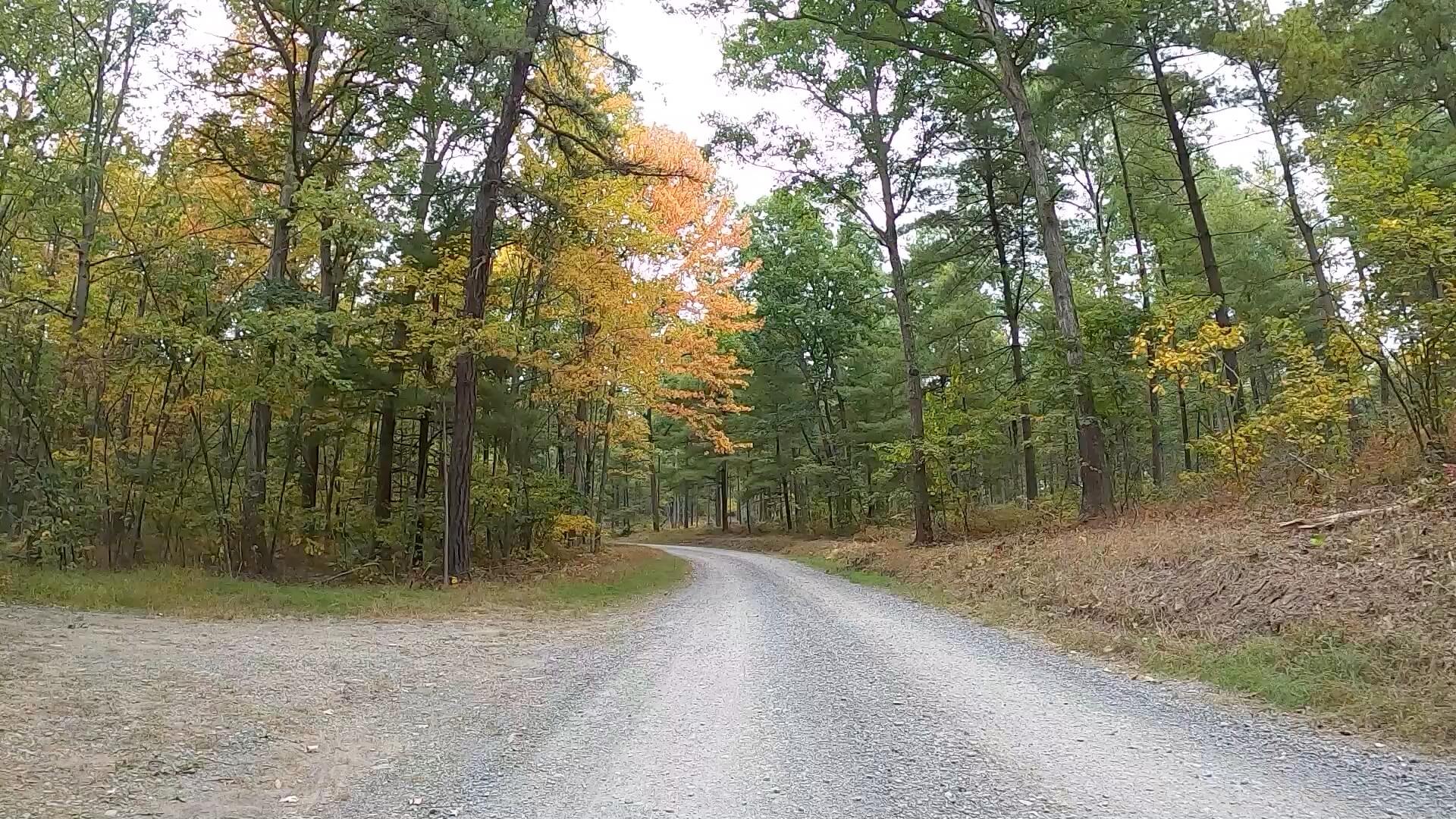 Public Lands Ride - 2020- R.B. Winter State Park-Bald Eagle State Forest- Terrain #6