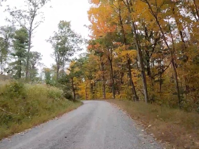 Public Lands Ride - 2020- R.B. Winter State Park-Bald Eagle State Forest- Terrain #7