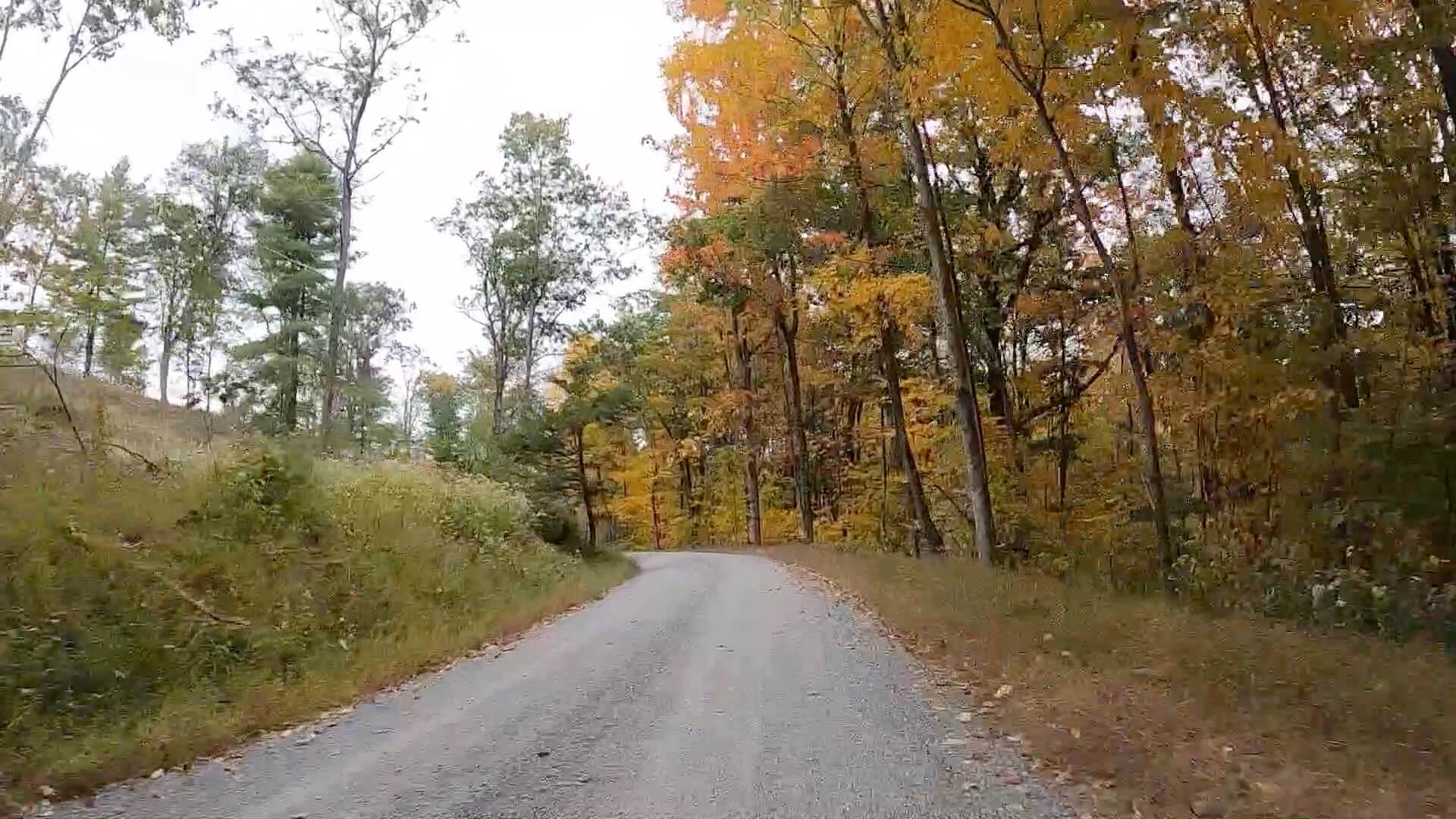 Public Lands Ride - 2020- R.B. Winter State Park-Bald Eagle State Forest- Terrain #7