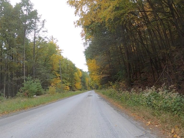 Public Lands Ride - 2020- R.B. Winter State Park-Bald Eagle State Forest- Terrain #8