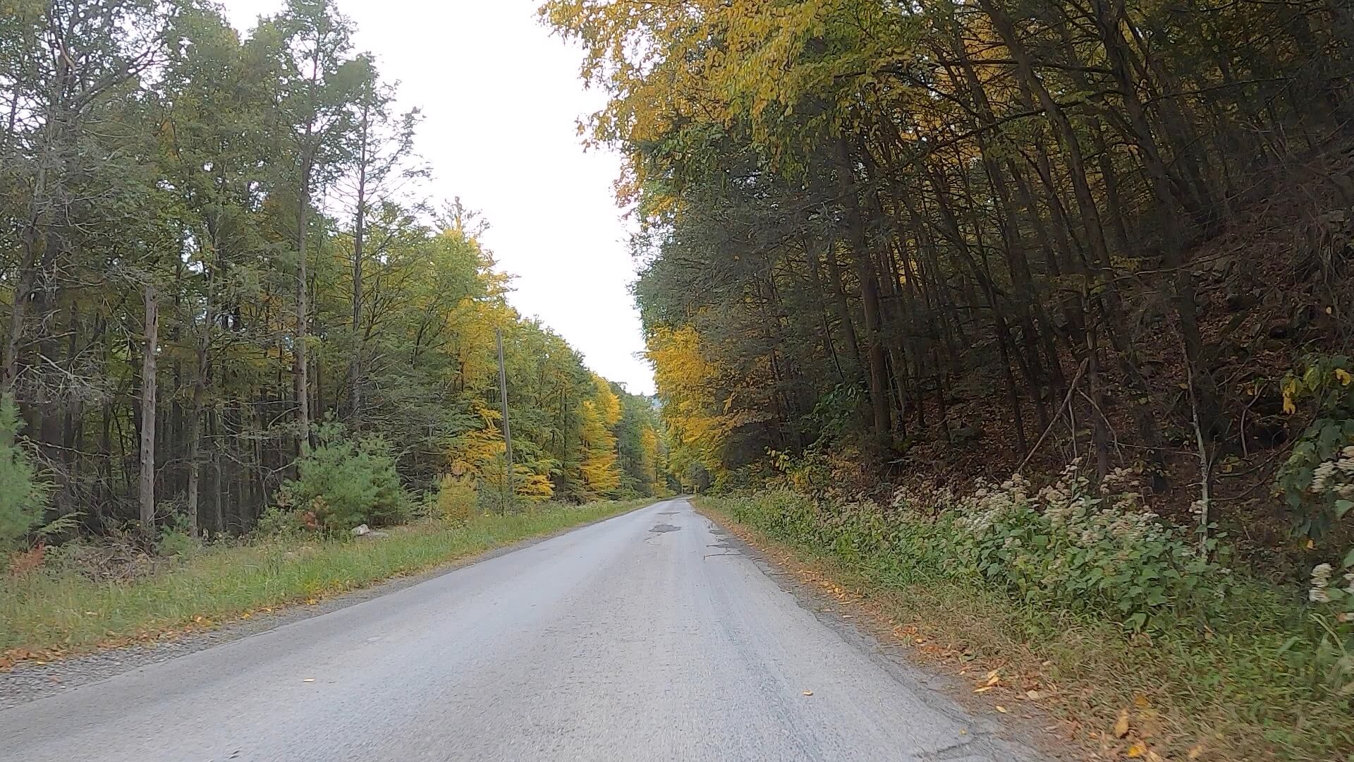 Public Lands Ride - 2020- R.B. Winter State Park-Bald Eagle State Forest- Terrain #8