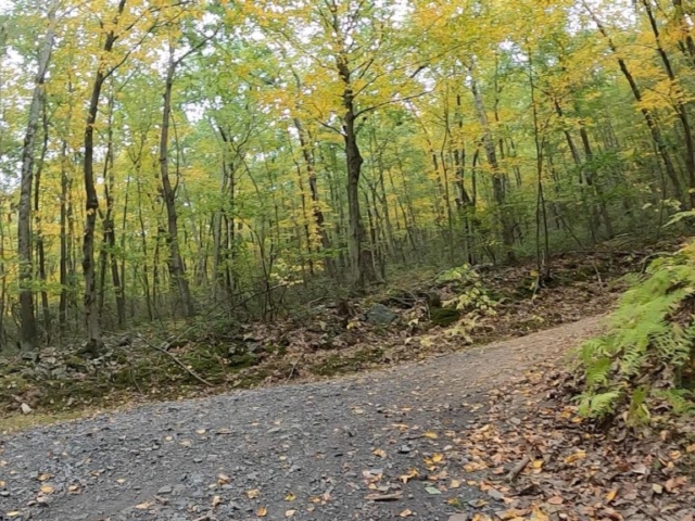 Public Lands Ride - 2020- R.B. Winter State Park-Bald Eagle State Forest- Terrain #9