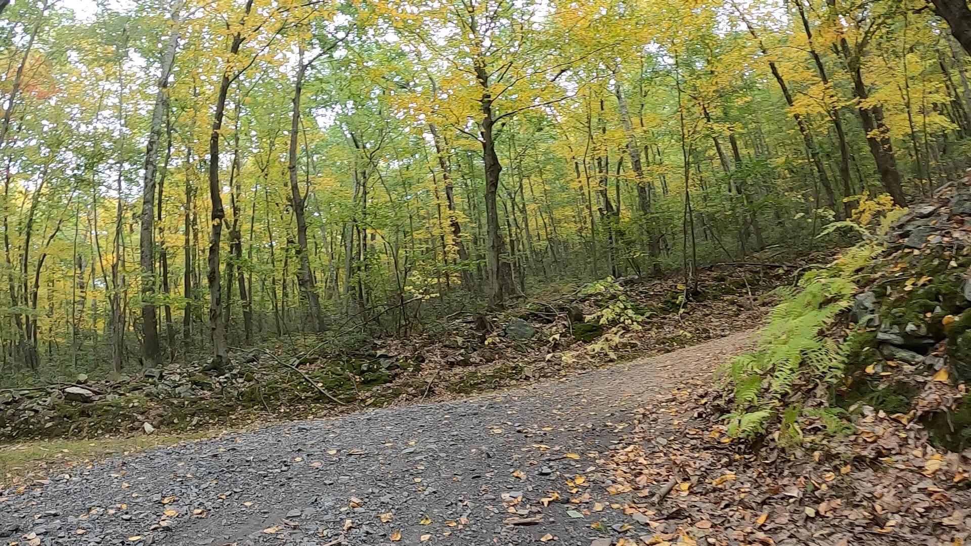 Public Lands Ride - 2020- R.B. Winter State Park-Bald Eagle State Forest- Terrain #9