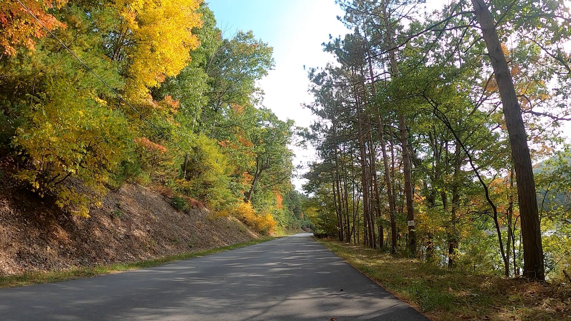 Public Lands Ride - 2020 - Reeds Gap State Park-Bald Eagle State Forest- Terrain #1