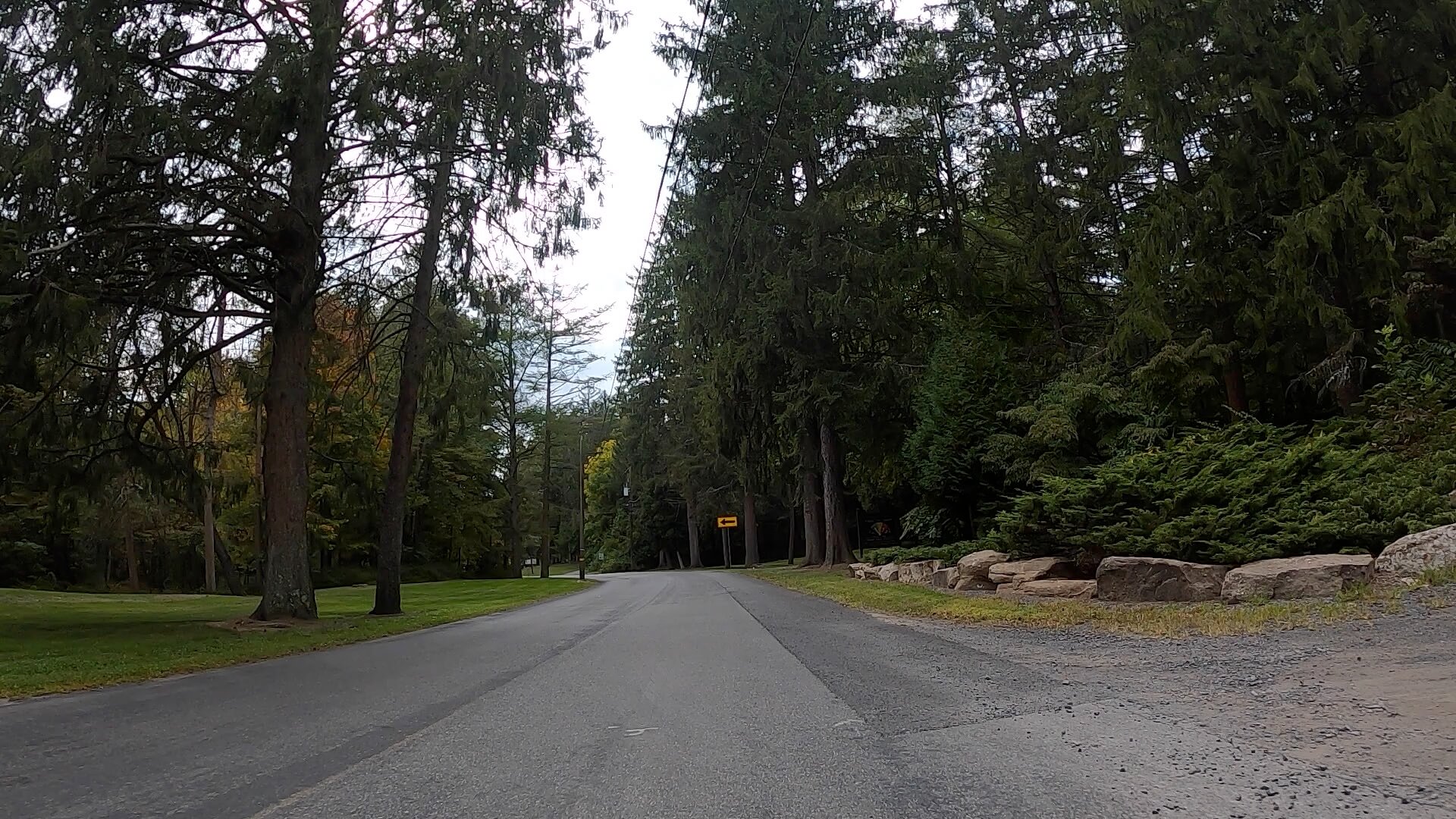 Public Lands Ride - 2020 - Reeds Gap State Park-Bald Eagle State Forest- Terrain #10