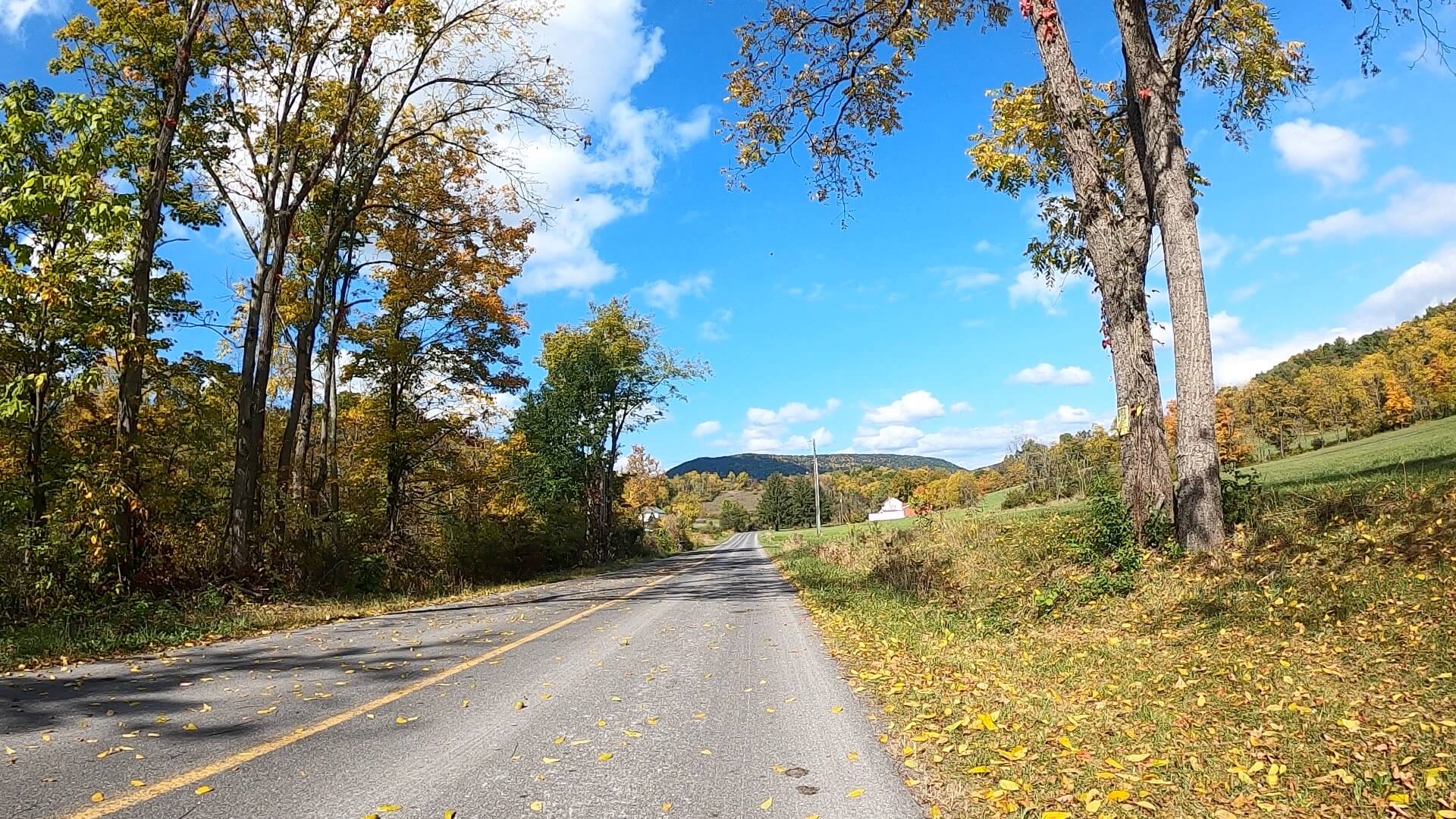 Public Lands Ride - 2020 - Reeds Gap State Park-Bald Eagle State Forest- Terrain #12