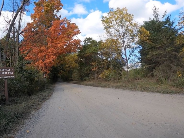 Public Lands Ride - 2020 - Reeds Gap State Park-Bald Eagle State Forest- Terrain #13