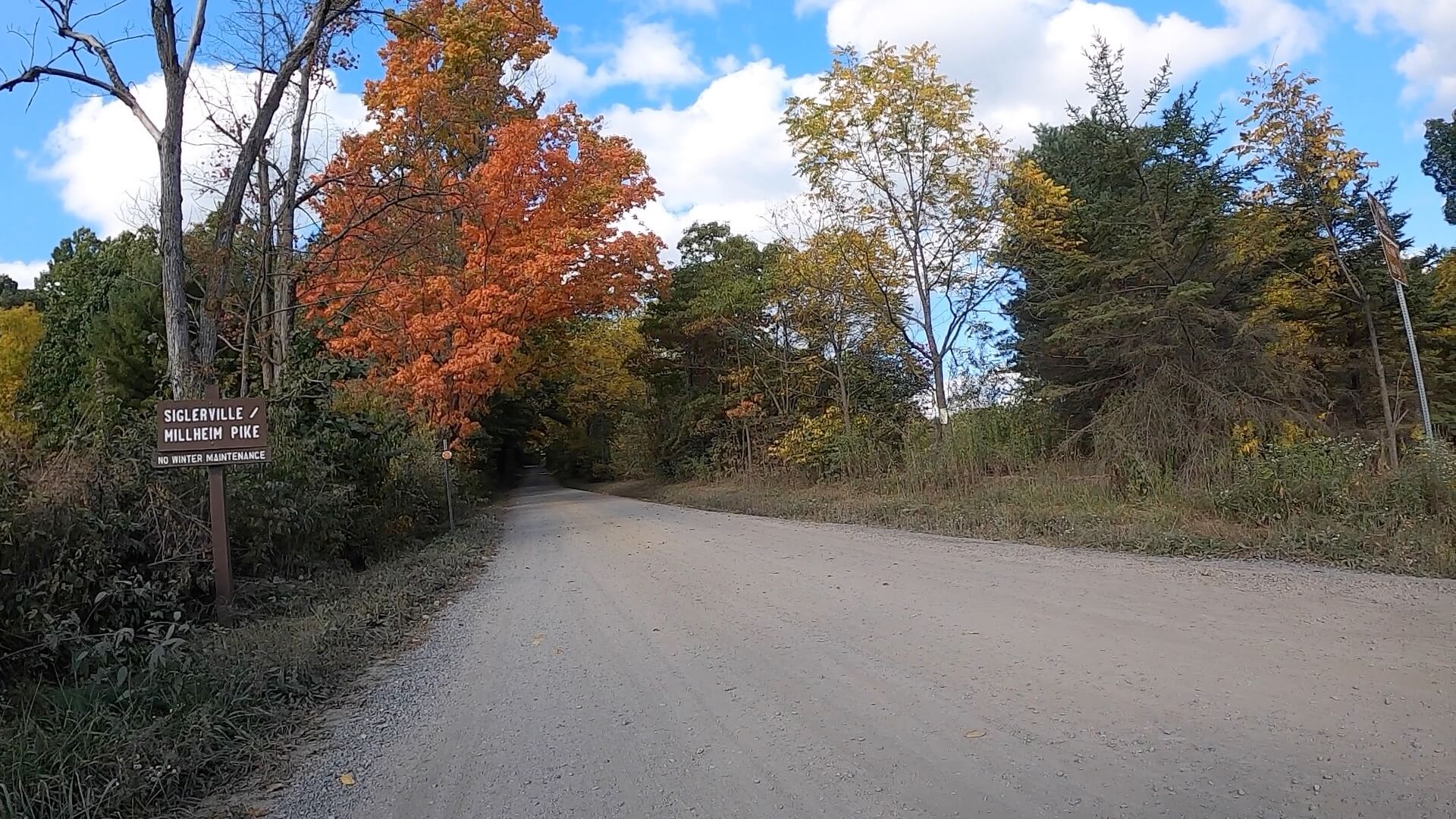 Public Lands Ride - 2020 - Reeds Gap State Park-Bald Eagle State Forest- Terrain #13