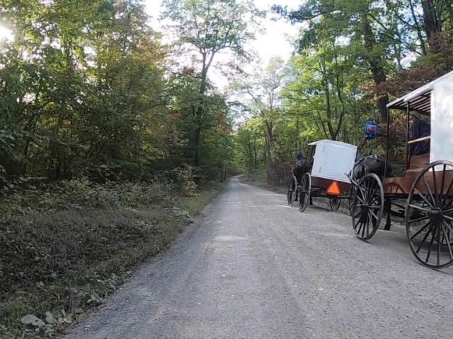 Public Lands Ride - 2020 - Reeds Gap State Park-Bald Eagle State Forest- Terrain #14