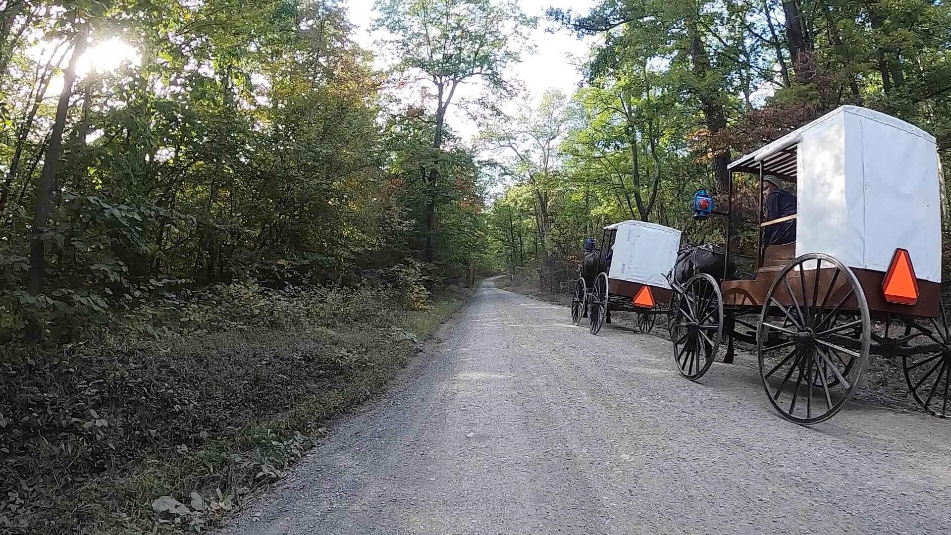 Public Lands Ride - 2020 - Reeds Gap State Park-Bald Eagle State Forest- Terrain #14