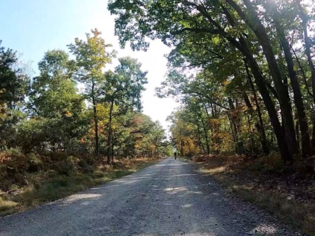 Public Lands Ride - 2020 - Reeds Gap State Park-Bald Eagle State Forest- Terrain #3