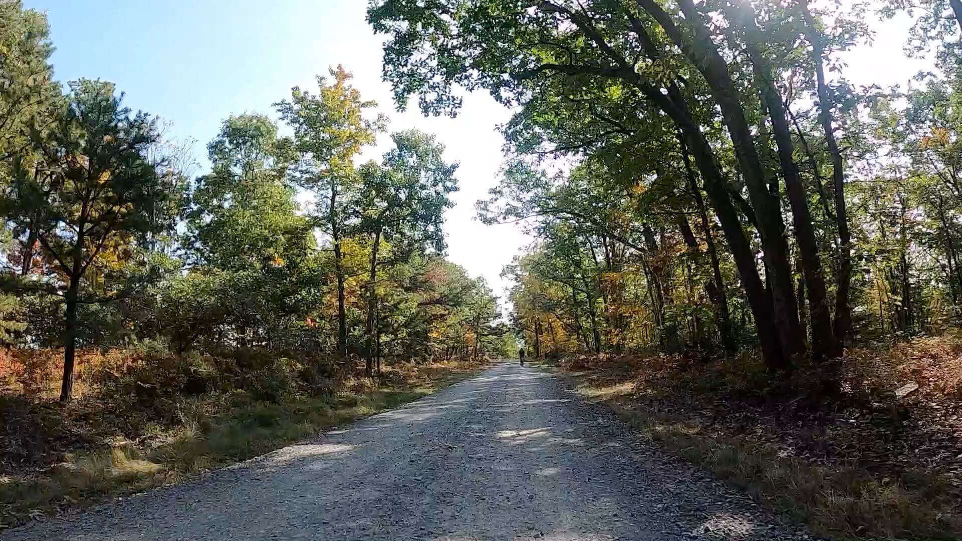 Public Lands Ride - 2020 - Reeds Gap State Park-Bald Eagle State Forest- Terrain #3