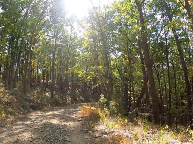 Public Lands Ride - 2020 - Reeds Gap State Park-Bald Eagle State Forest- Terrain #4