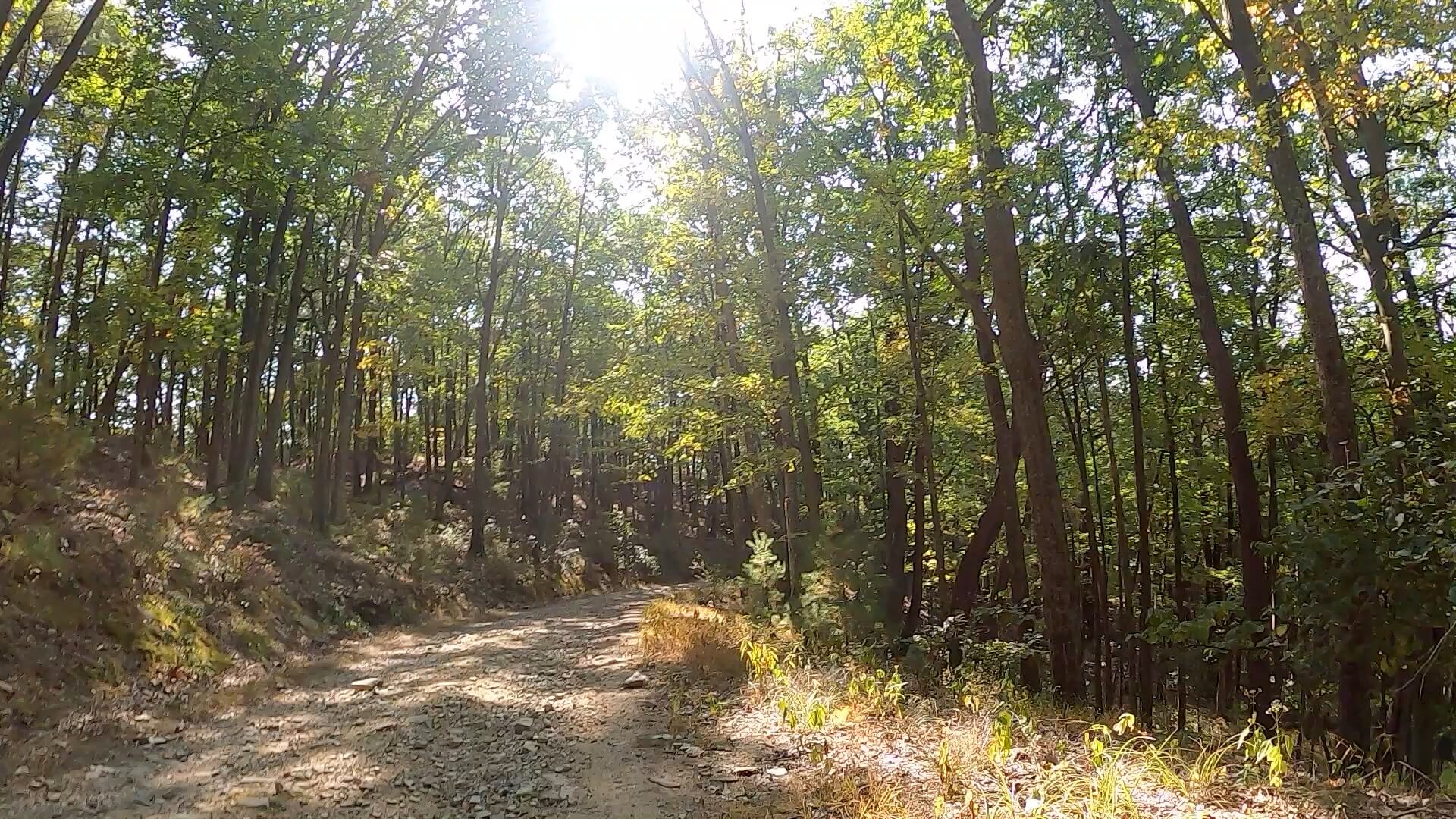 Public Lands Ride - 2020 - Reeds Gap State Park-Bald Eagle State Forest- Terrain #4