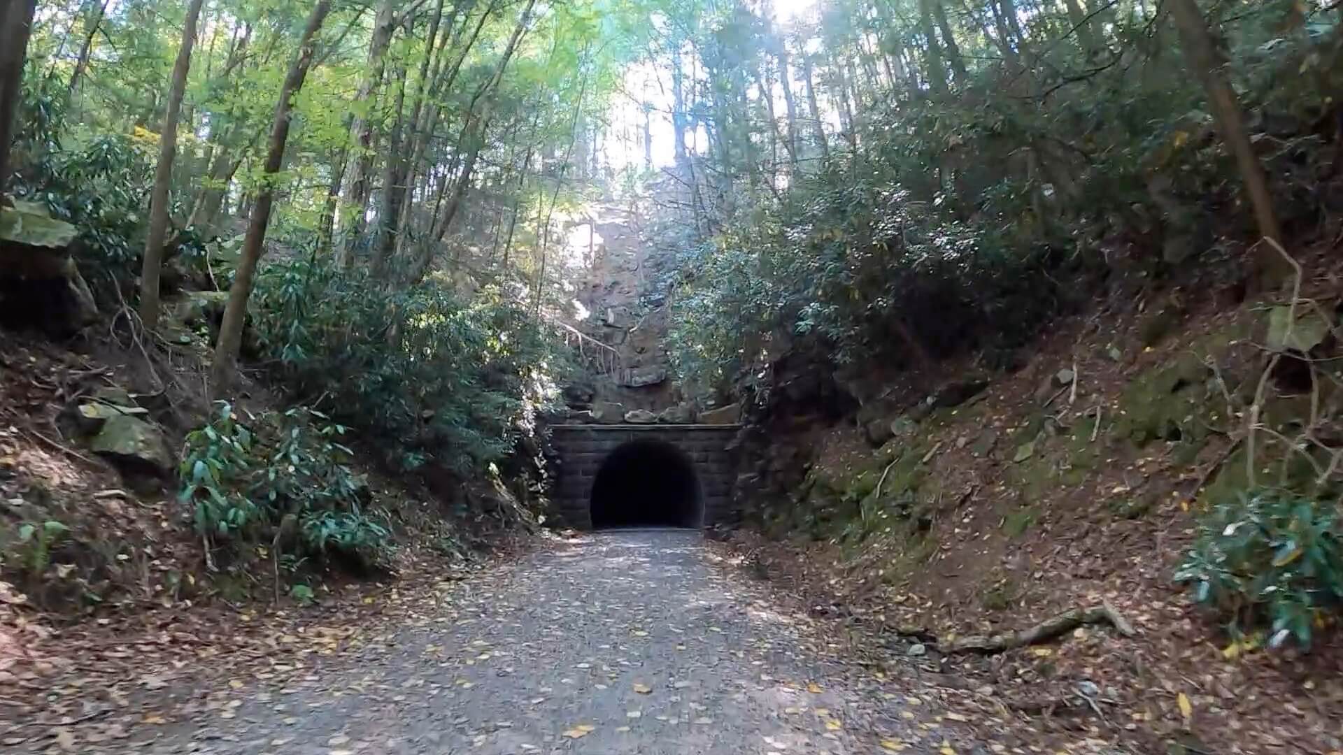 Public Lands Ride - 2020 - Reeds Gap State Park-Bald Eagle State Forest- Terrain #5