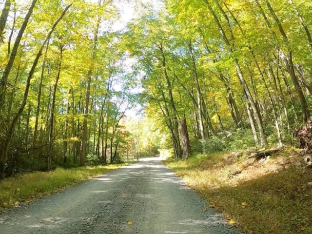 Public Lands Ride - 2020 - Reeds Gap State Park-Bald Eagle State Forest- Terrain #7