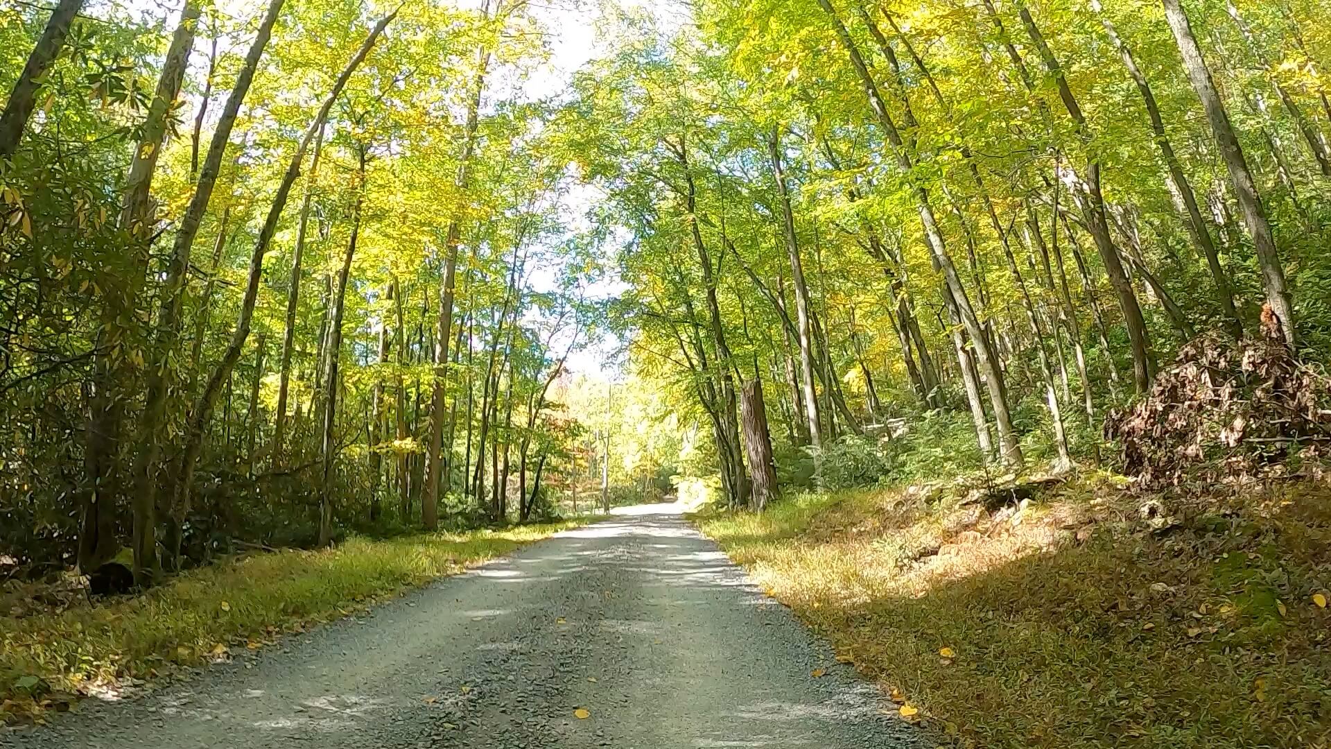 Public Lands Ride - 2020 - Reeds Gap State Park-Bald Eagle State Forest- Terrain #7