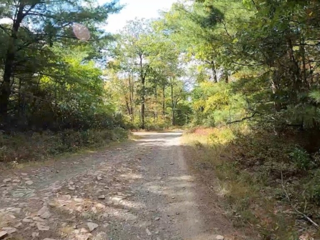 Public Lands Ride - 2020 - Reeds Gap State Park-Bald Eagle State Forest- Terrain #8