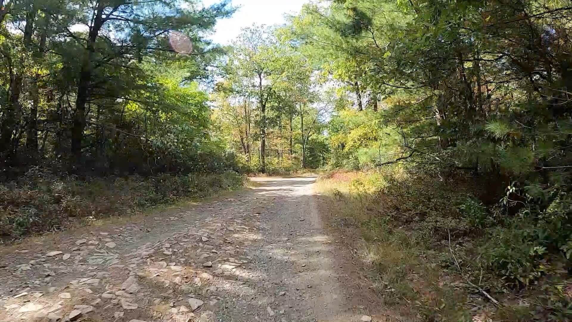 Public Lands Ride - 2020 - Reeds Gap State Park-Bald Eagle State Forest- Terrain #8