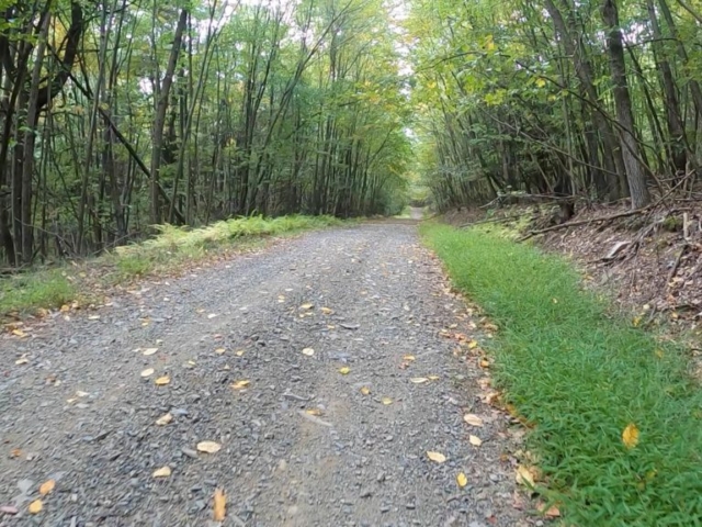 Public Lands Ride - 2020 - Reeds Gap State Park-Bald Eagle State Forest- Terrain #9