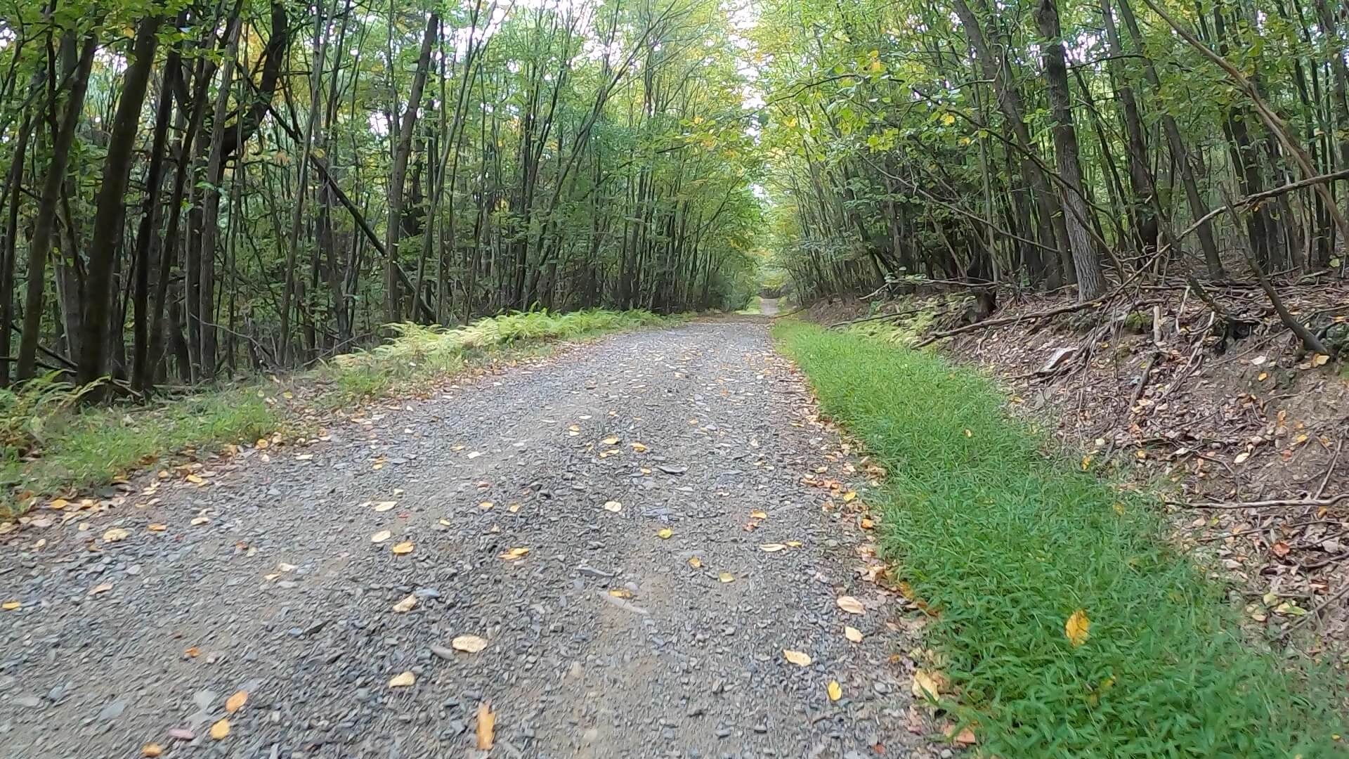 Public Lands Ride - 2020 - Reeds Gap State Park-Bald Eagle State Forest- Terrain #9