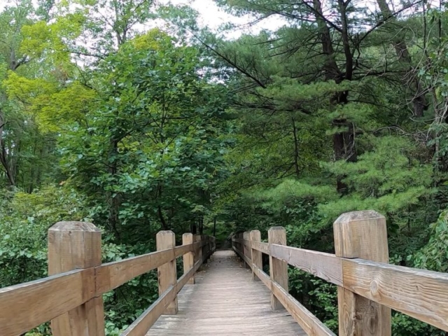 Public Lands Ride - 2020 - Trough Creek State Park-Rothrock State Forest- Terrain #1