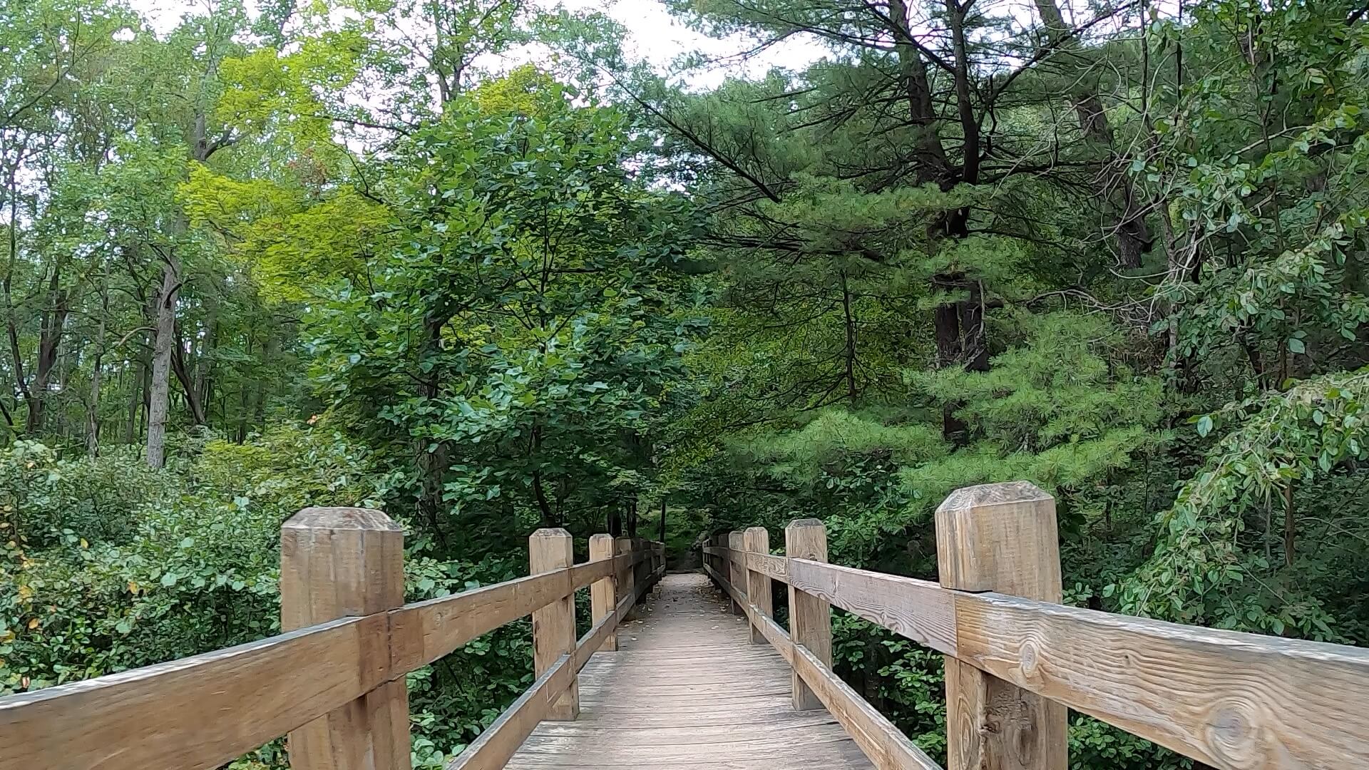 Public Lands Ride - 2020 - Trough Creek State Park-Rothrock State Forest- Terrain #1