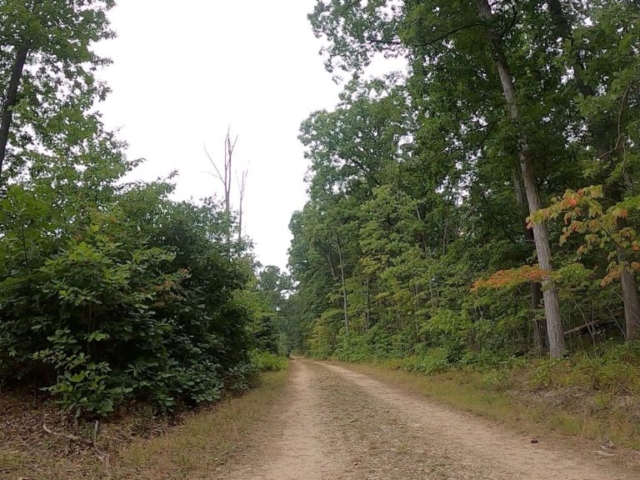 Public Lands Ride - 2020 - Trough Creek State Park-Rothrock State Forest- Terrain #10