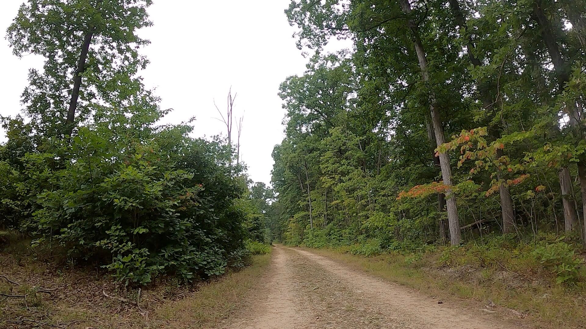 Public Lands Ride - 2020 - Trough Creek State Park-Rothrock State Forest- Terrain #10