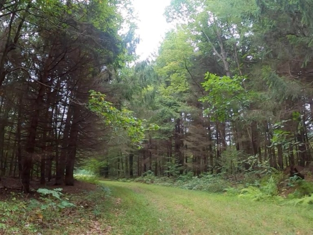 Public Lands Ride - 2020 - Trough Creek State Park-Rothrock State Forest- Terrain #11