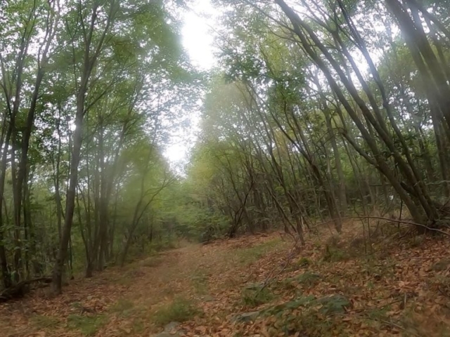 Public Lands Ride - 2020 - Trough Creek State Park-Rothrock State Forest- Terrain #12