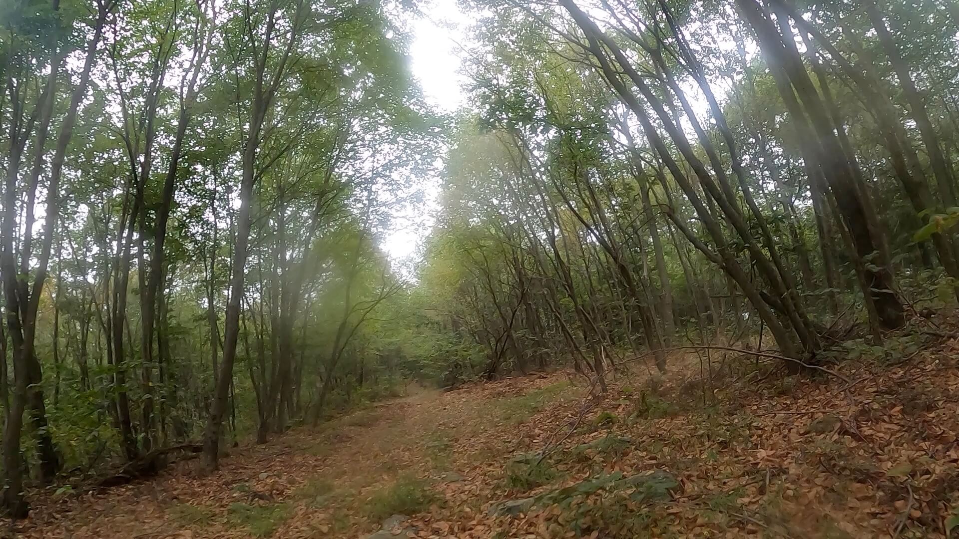 Public Lands Ride - 2020 - Trough Creek State Park-Rothrock State Forest- Terrain #12