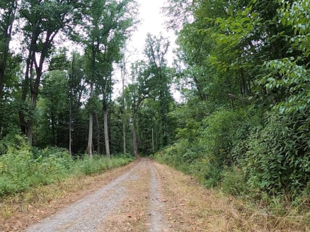 Public Lands Ride - 2020 - Trough Creek State Park-Rothrock State Forest- Terrain #2