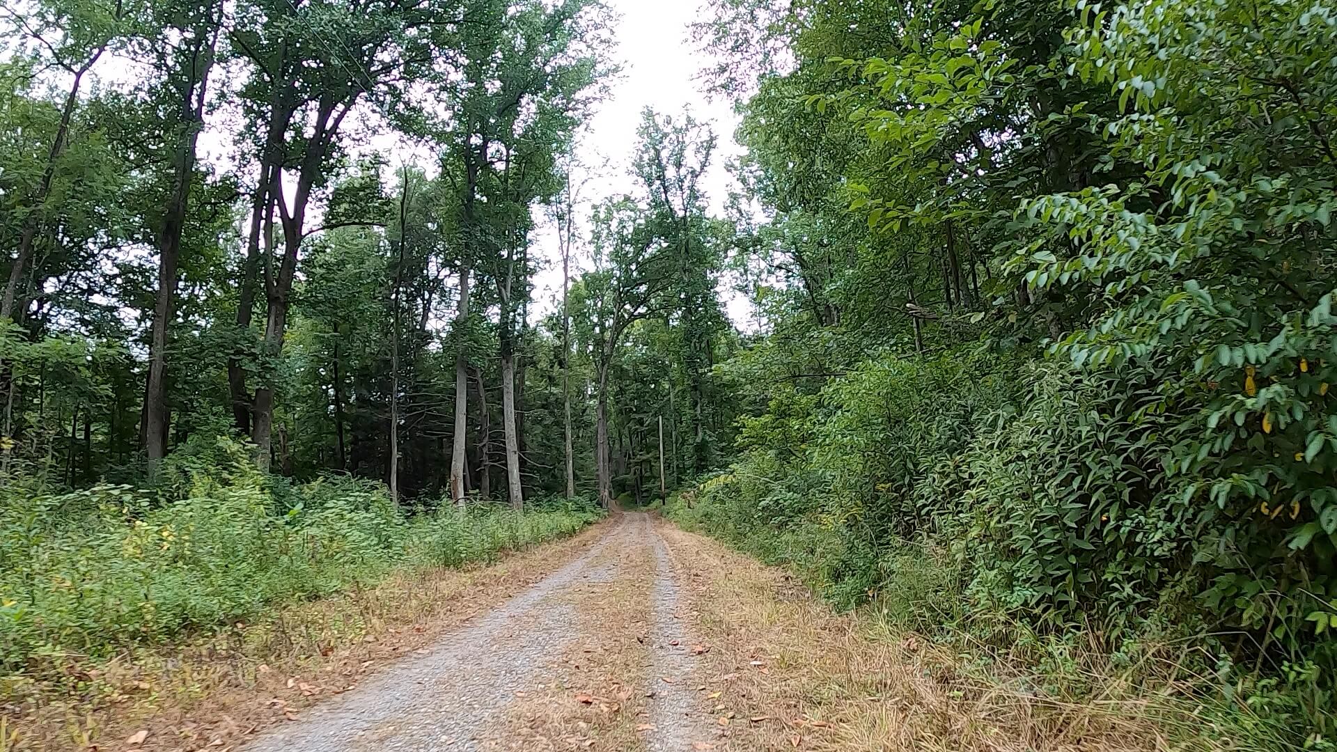 Public Lands Ride - 2020 - Trough Creek State Park-Rothrock State Forest- Terrain #2