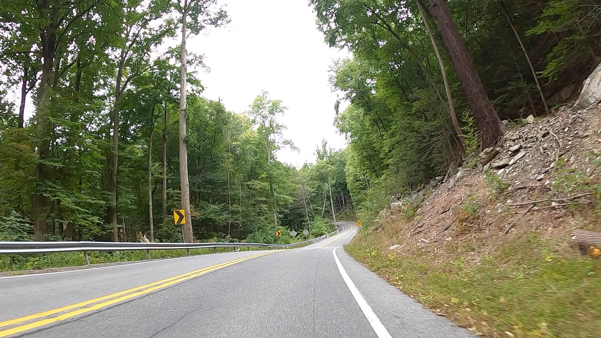 Public Lands Ride - 2020 - Trough Creek State Park-Rothrock State Forest- Terrain #4