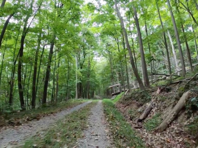 Public Lands Ride - 2020 - Trough Creek State Park-Rothrock State Forest- Terrain #6