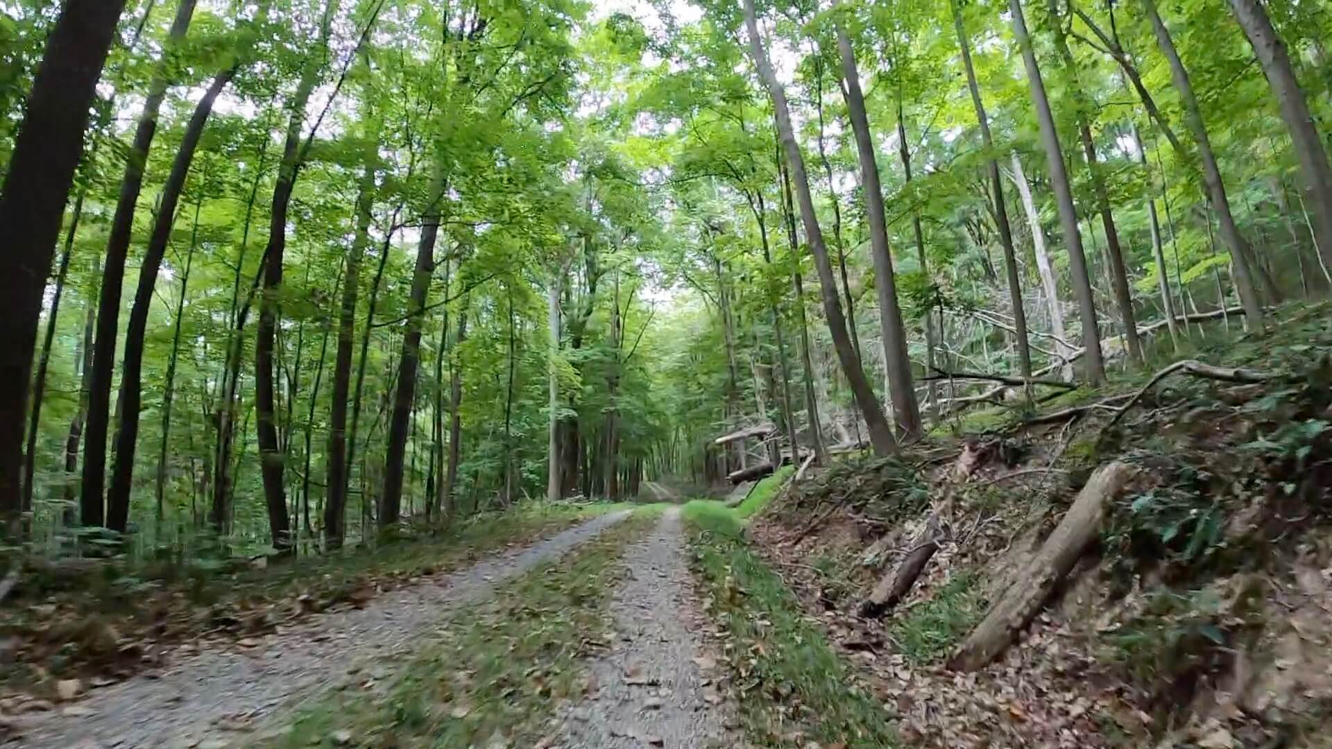 Public Lands Ride - 2020 - Trough Creek State Park-Rothrock State Forest- Terrain #6