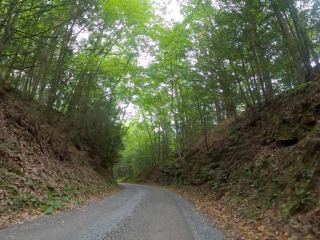 Public Lands Ride - 2020 - Trough Creek State Park-Rothrock State Forest- Terrain #9