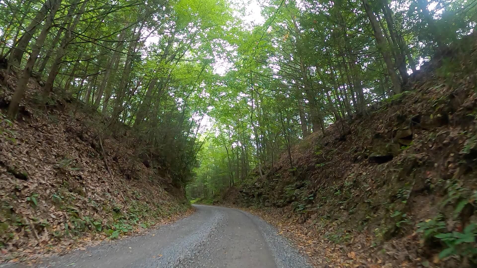 Public Lands Ride - 2020 - Trough Creek State Park-Rothrock State Forest- Terrain #9