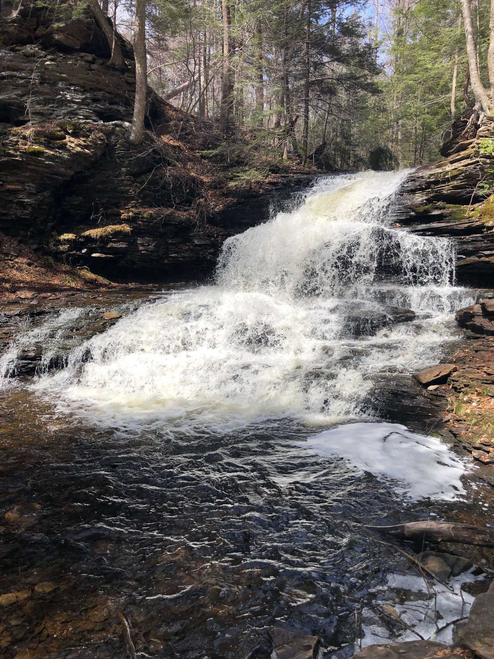 Ricketts Glen State Park - Fall #1