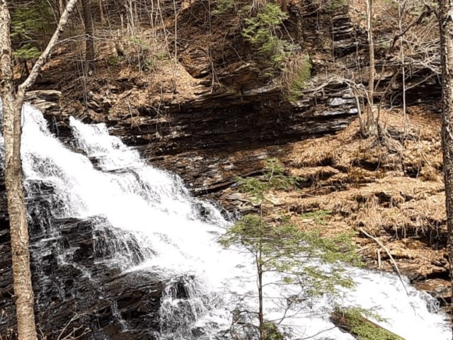 Ricketts Glen State Park - Fall #2