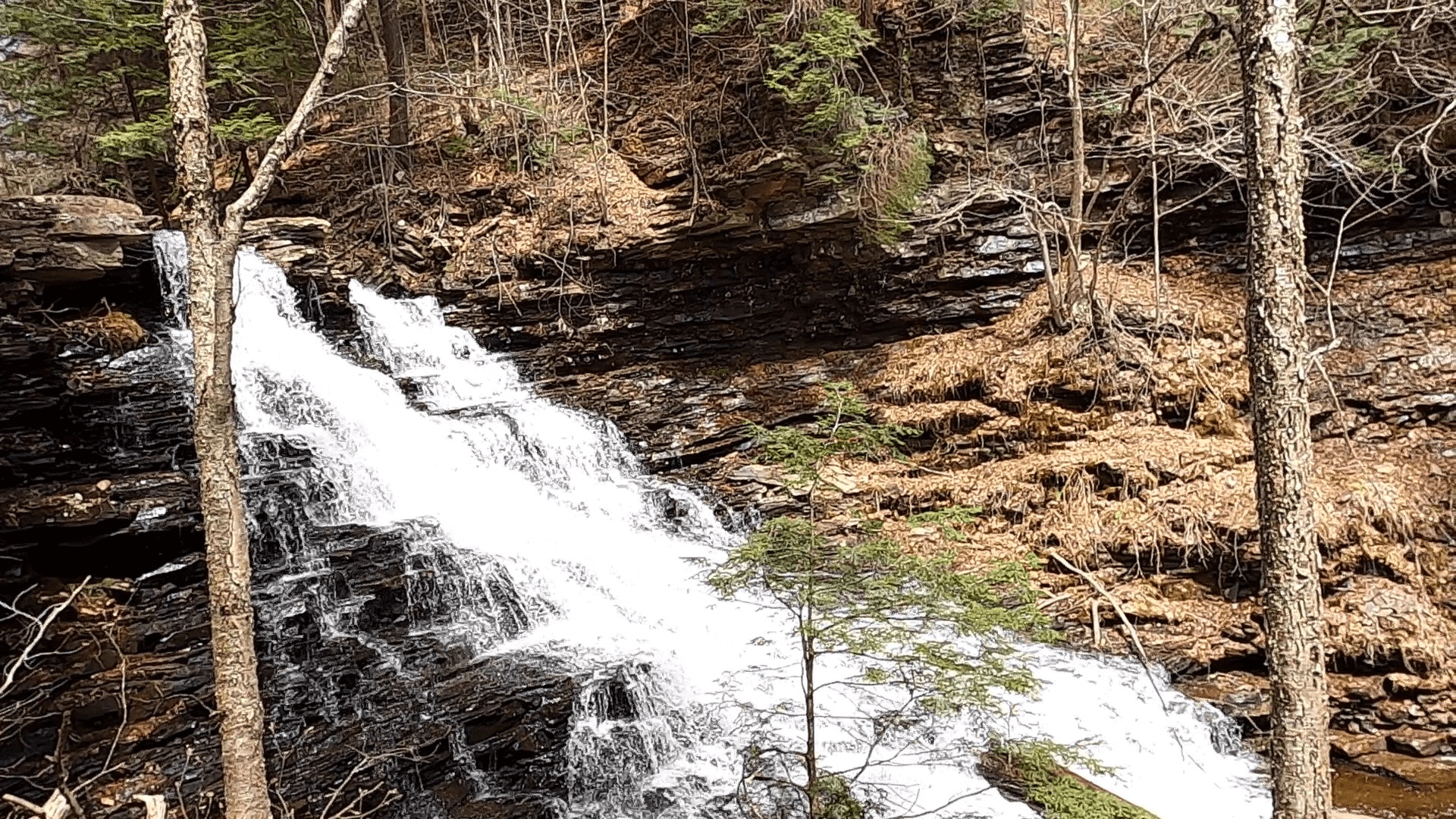 Ricketts Glen State Park - Fall #2