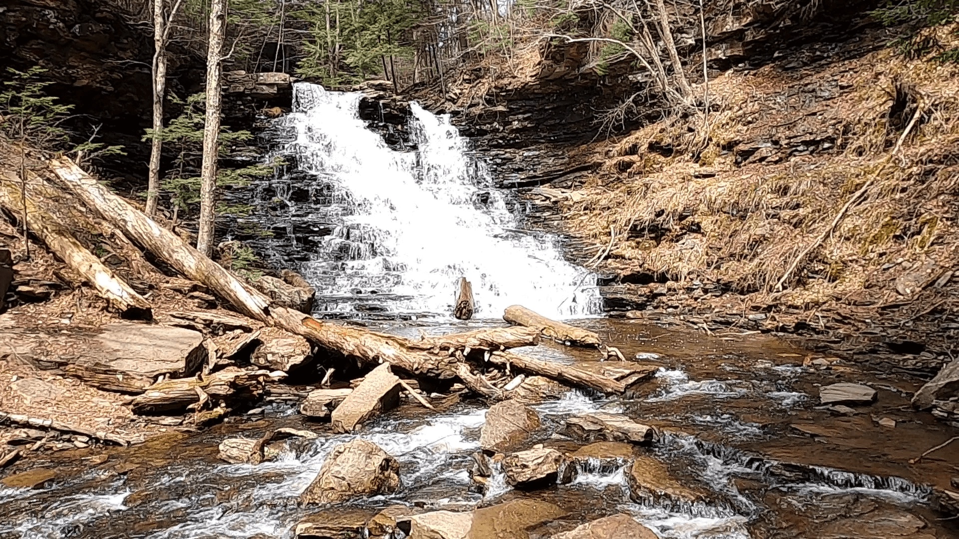 Ricketts Glen State Park - Fall #3